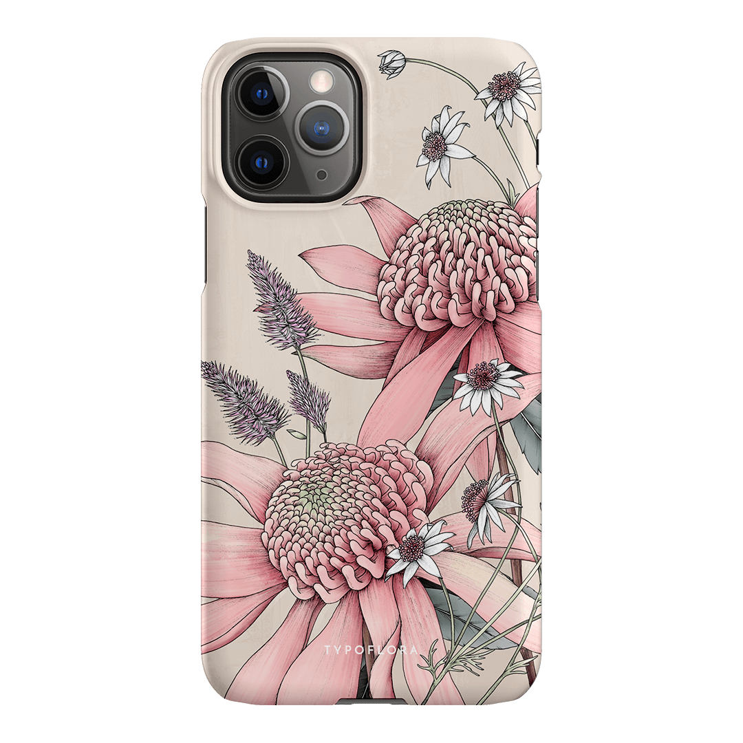 Pink Waratah