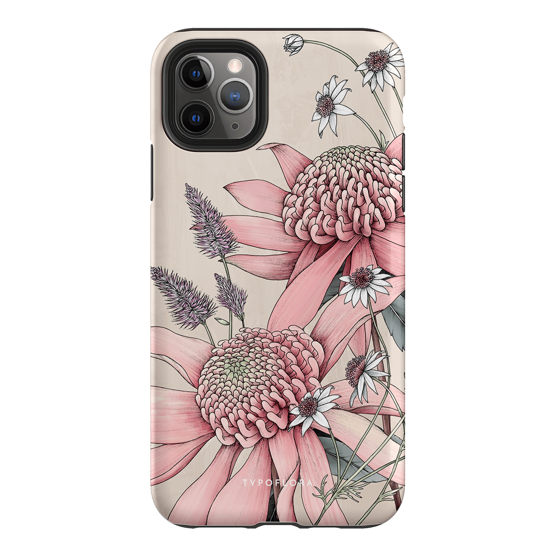 Pink Waratah