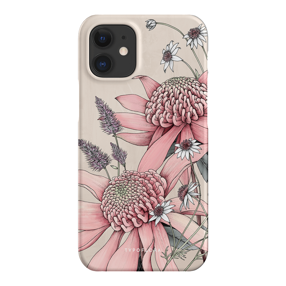Pink Waratah