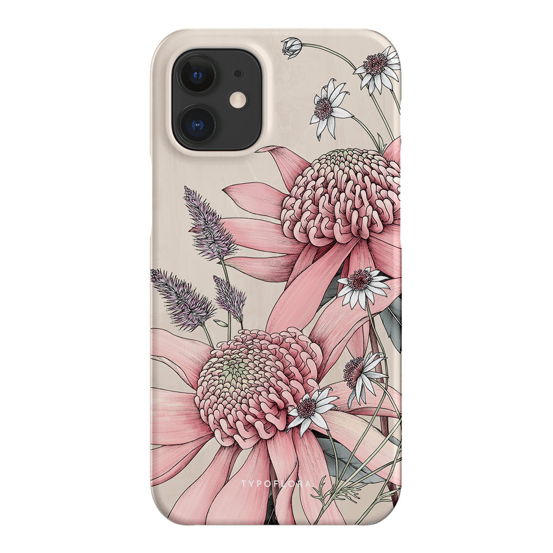 Pink Waratah