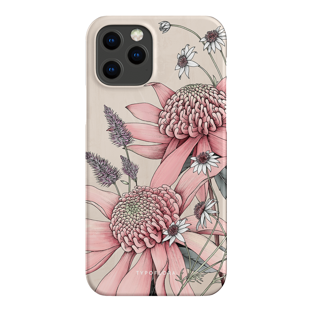 Pink Waratah