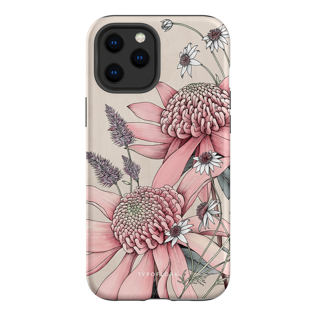 Pink Waratah