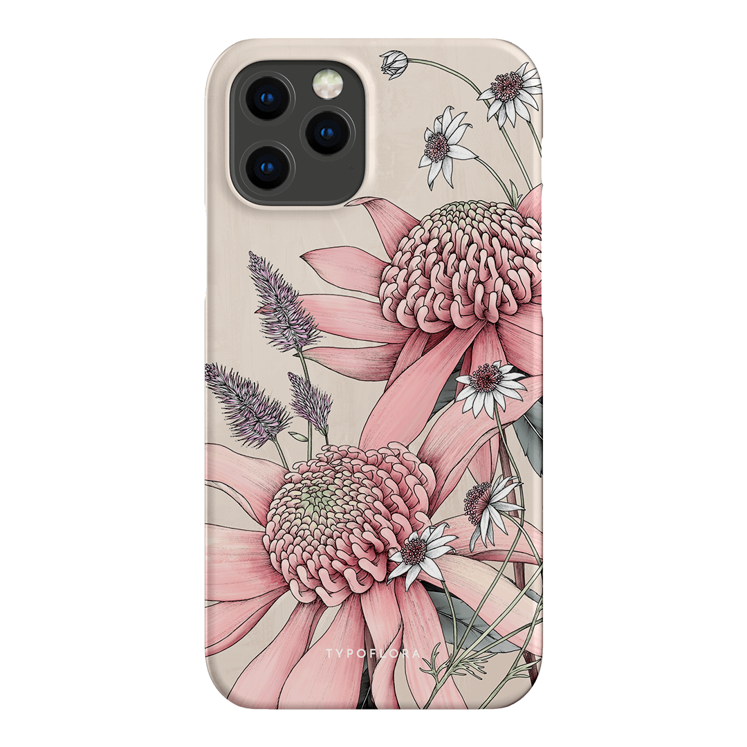 Pink Waratah