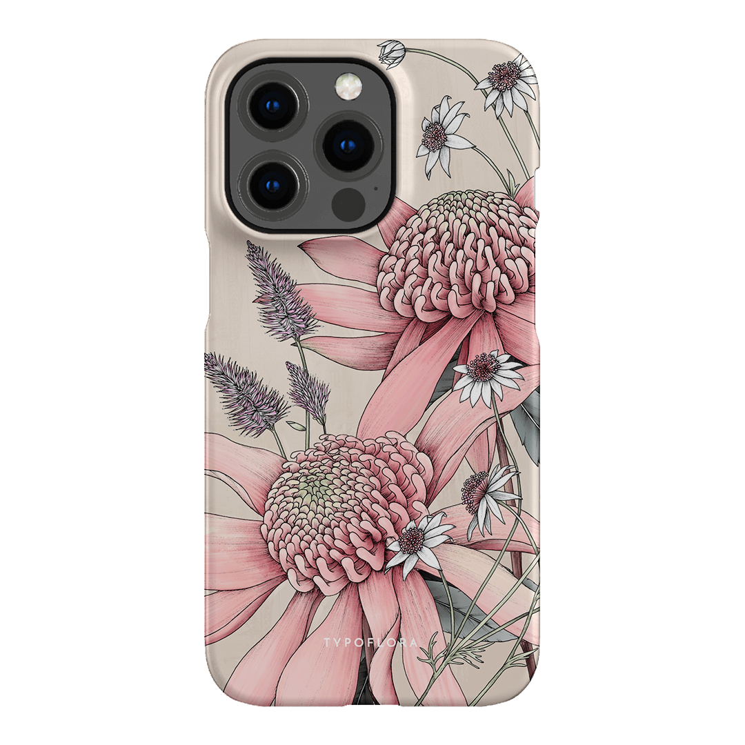Pink Waratah