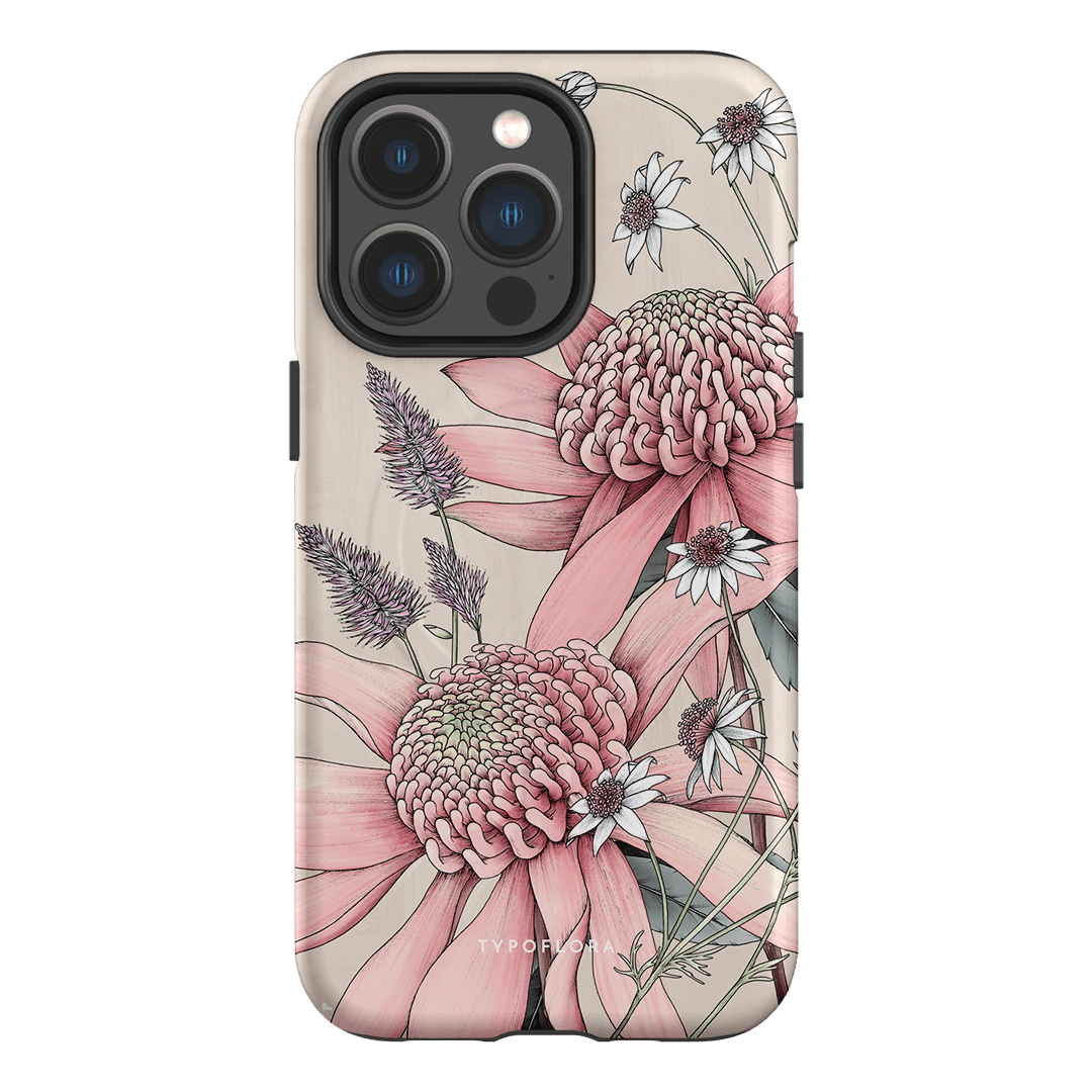 Pink Waratah