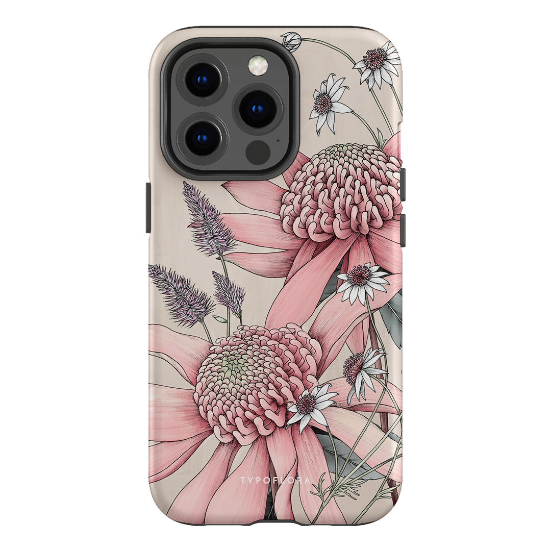 Pink Waratah