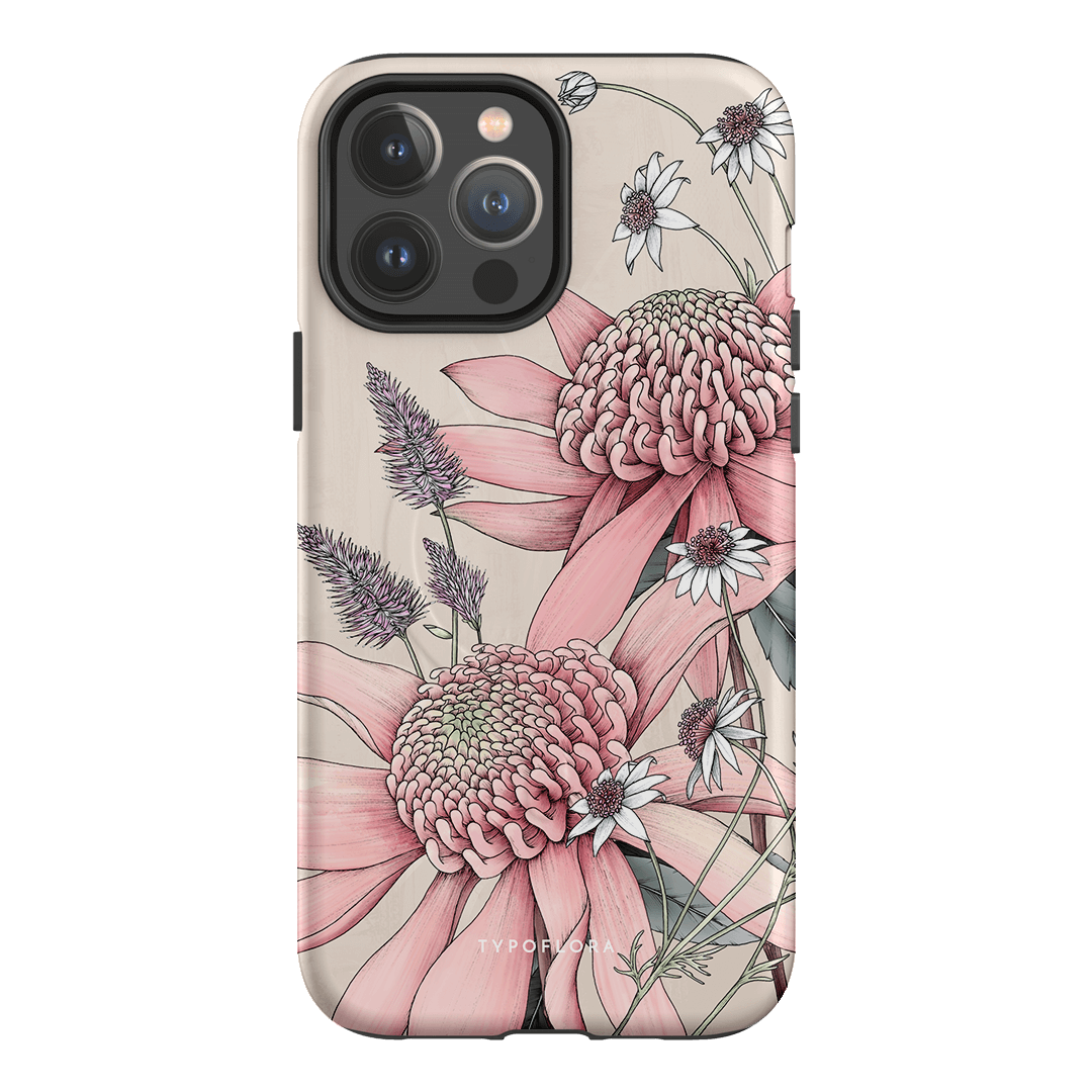 Pink Waratah