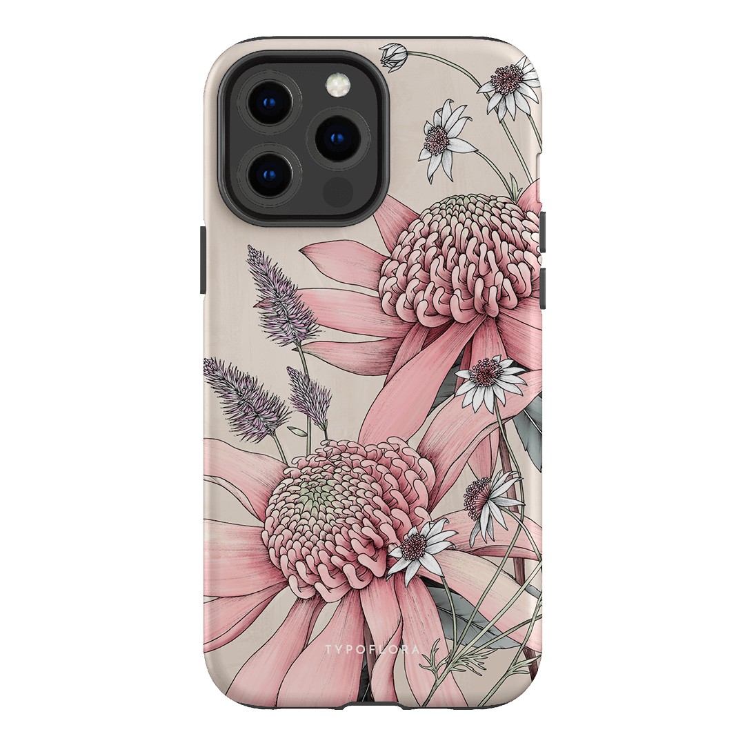 Pink Waratah