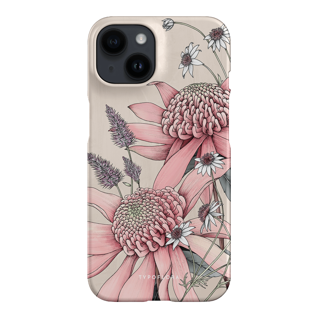 Pink Waratah