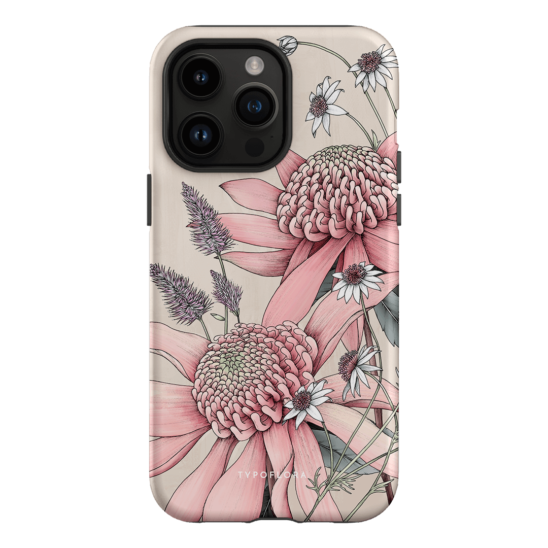 Pink Waratah