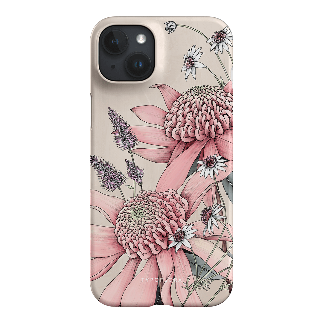 Pink Waratah
