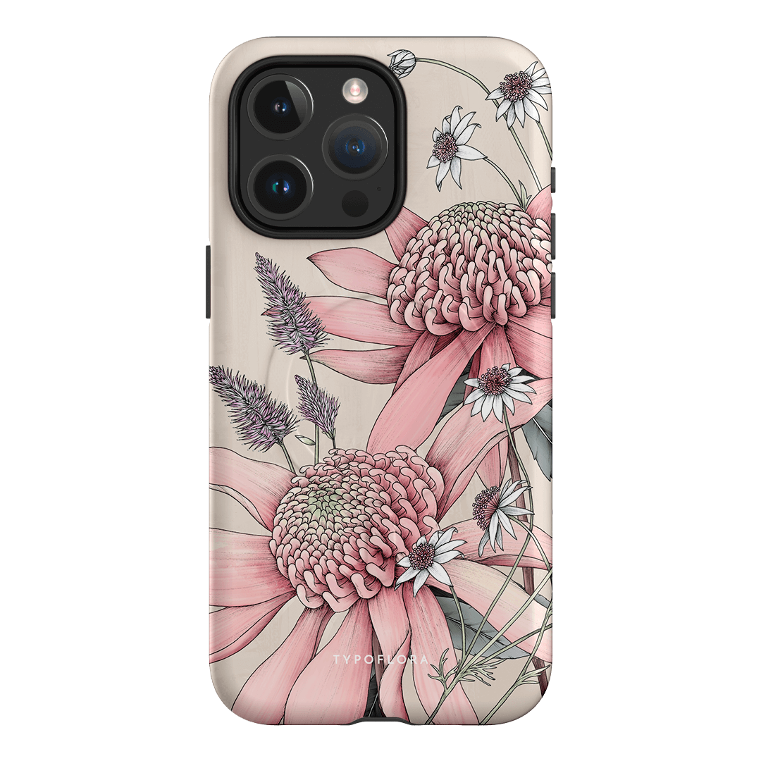 Pink Waratah