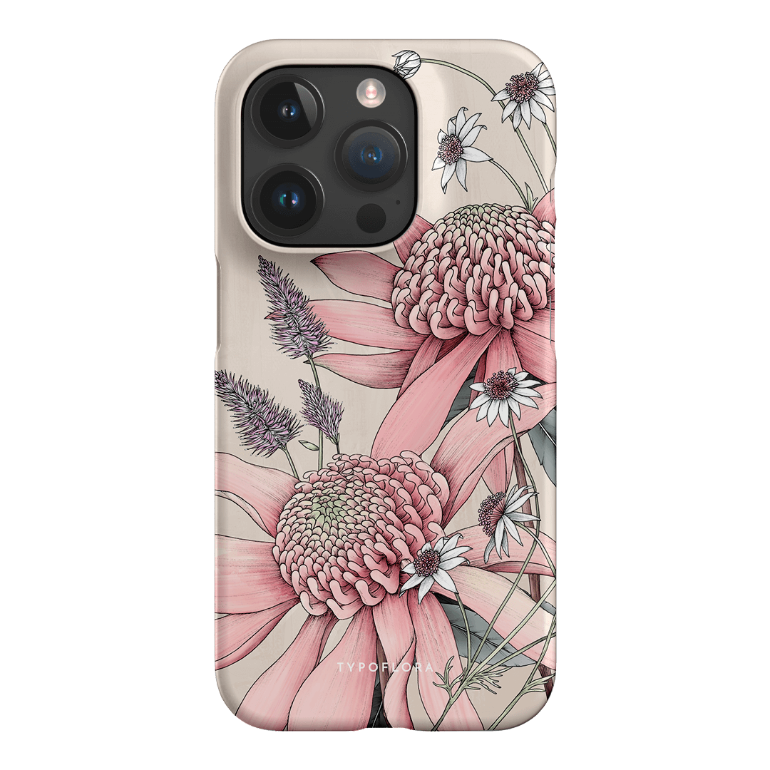 Pink Waratah