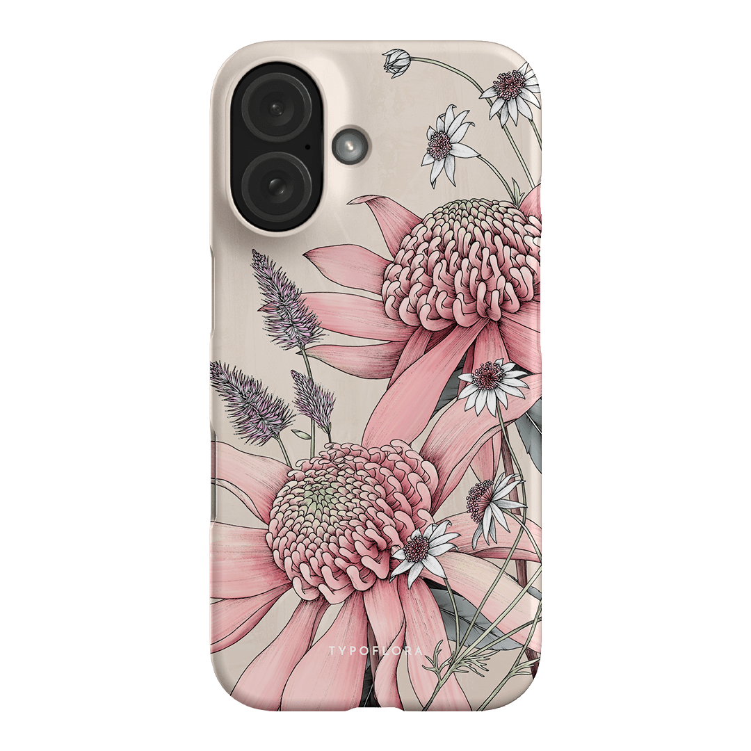 Pink Waratah