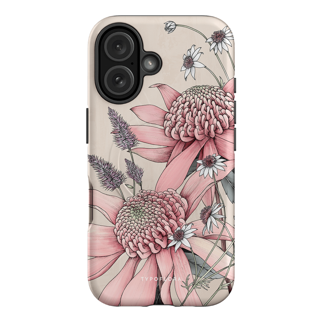 Pink Waratah