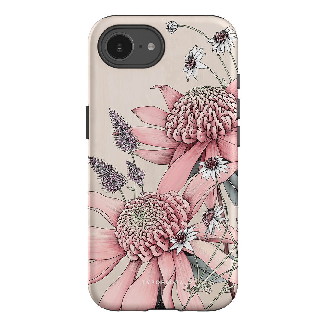 Pink Waratah