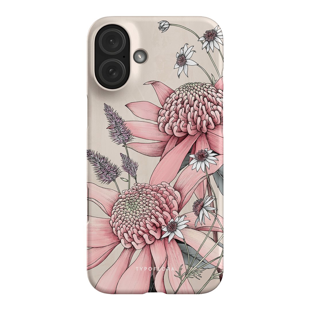 Pink Waratah