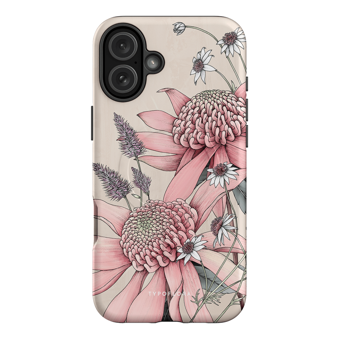 Pink Waratah