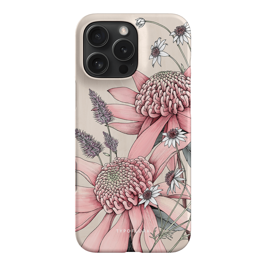 Pink Waratah