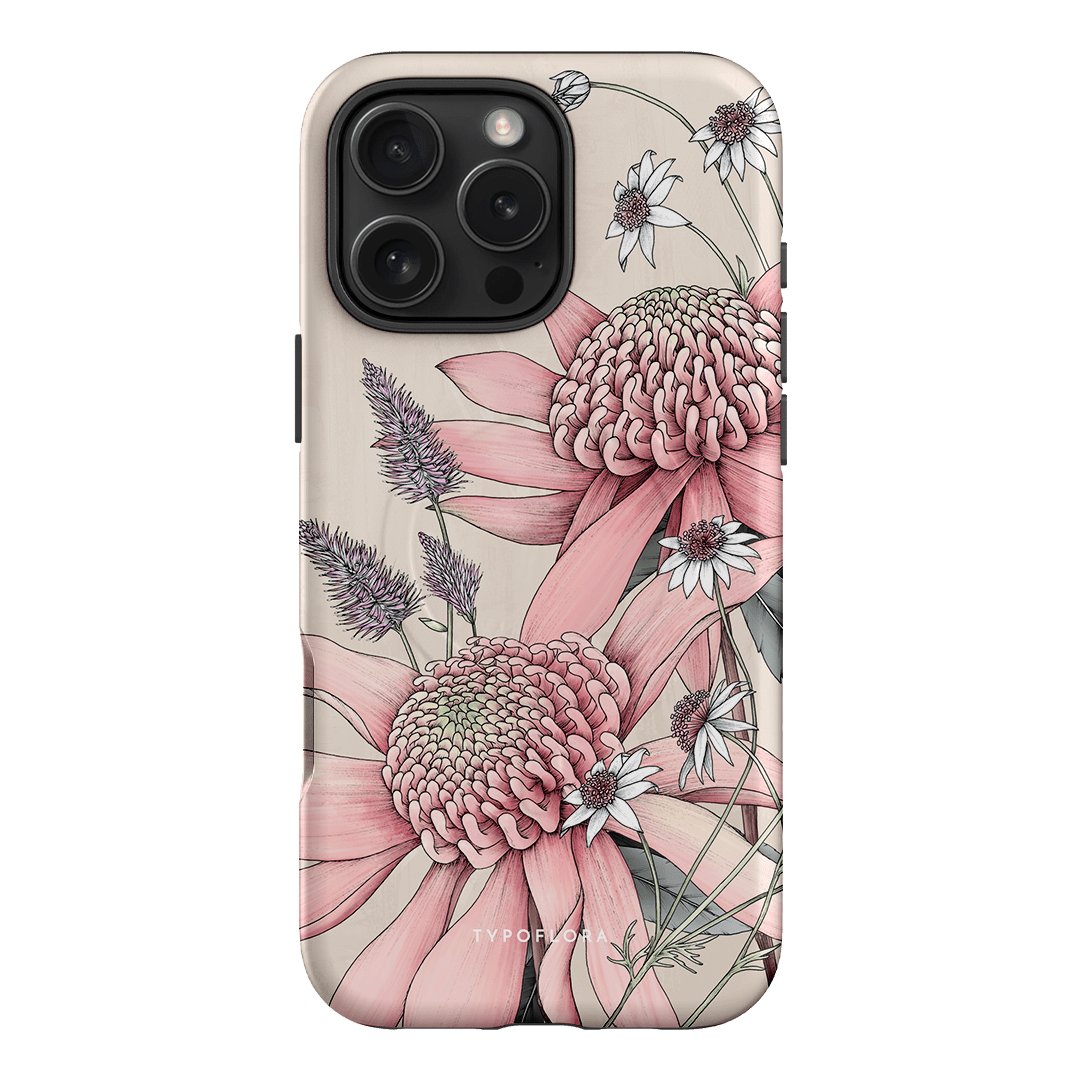 Pink Waratah