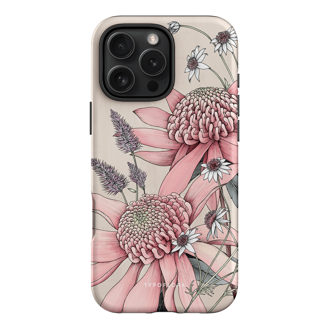 Pink Waratah