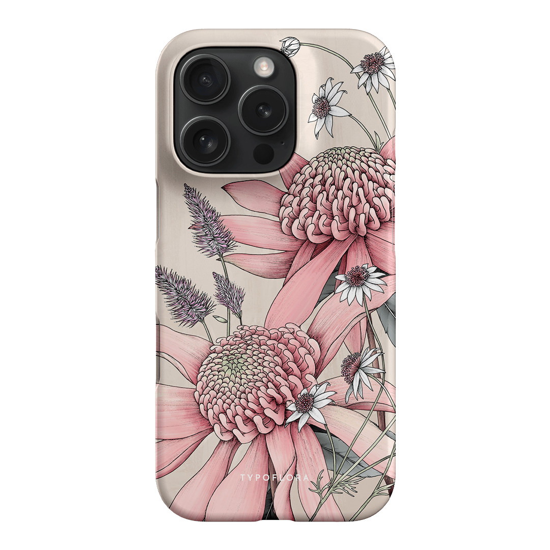Pink Waratah