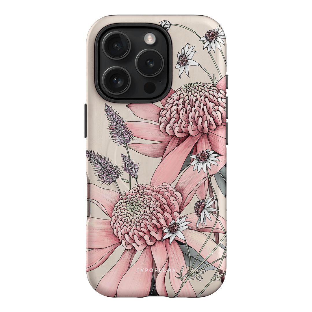 Pink Waratah