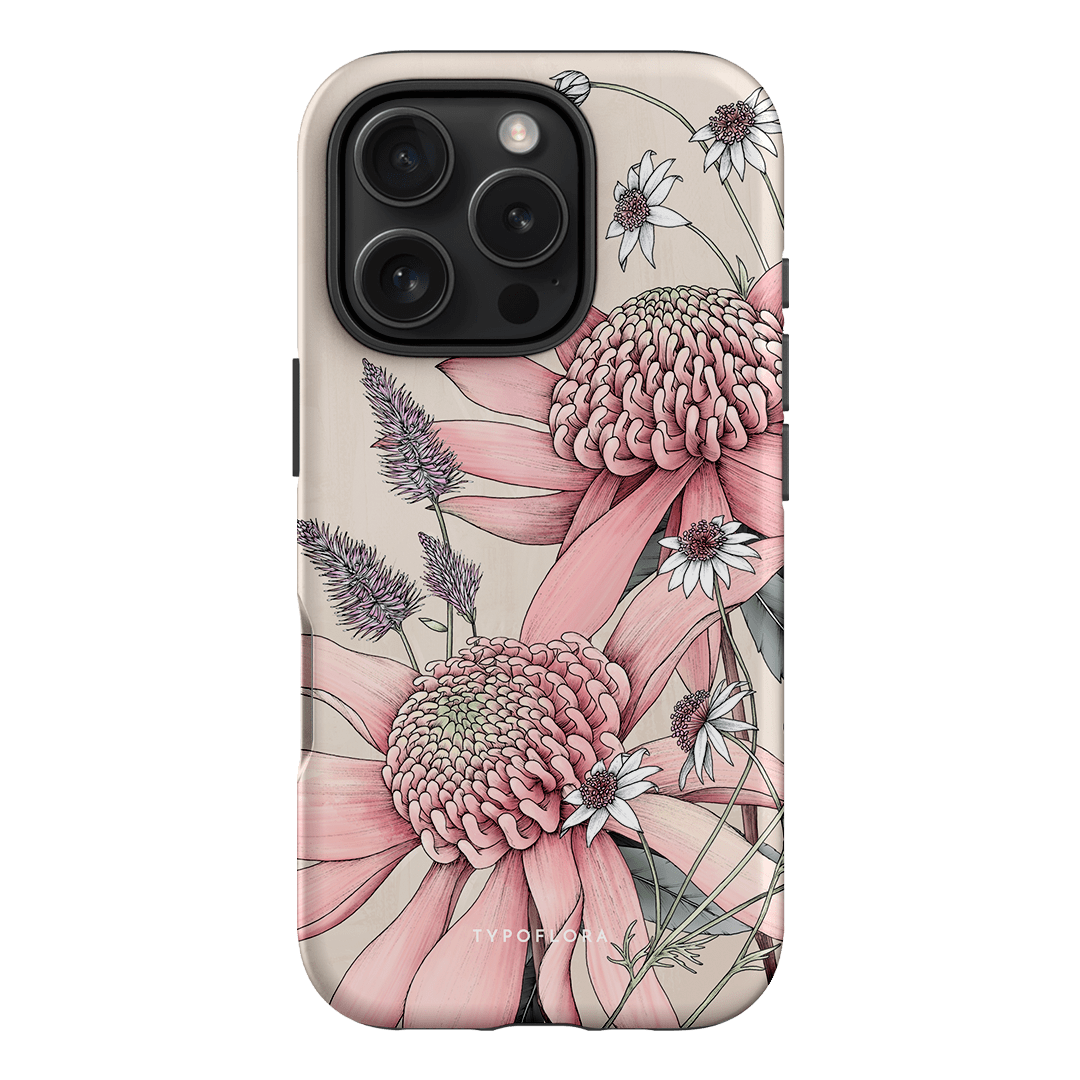 Pink Waratah