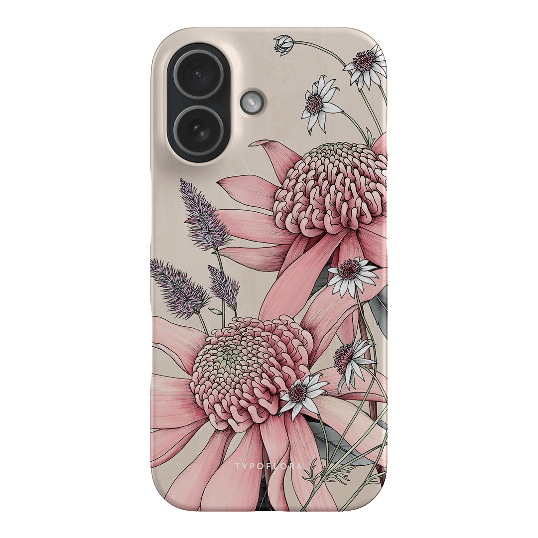Pink Waratah