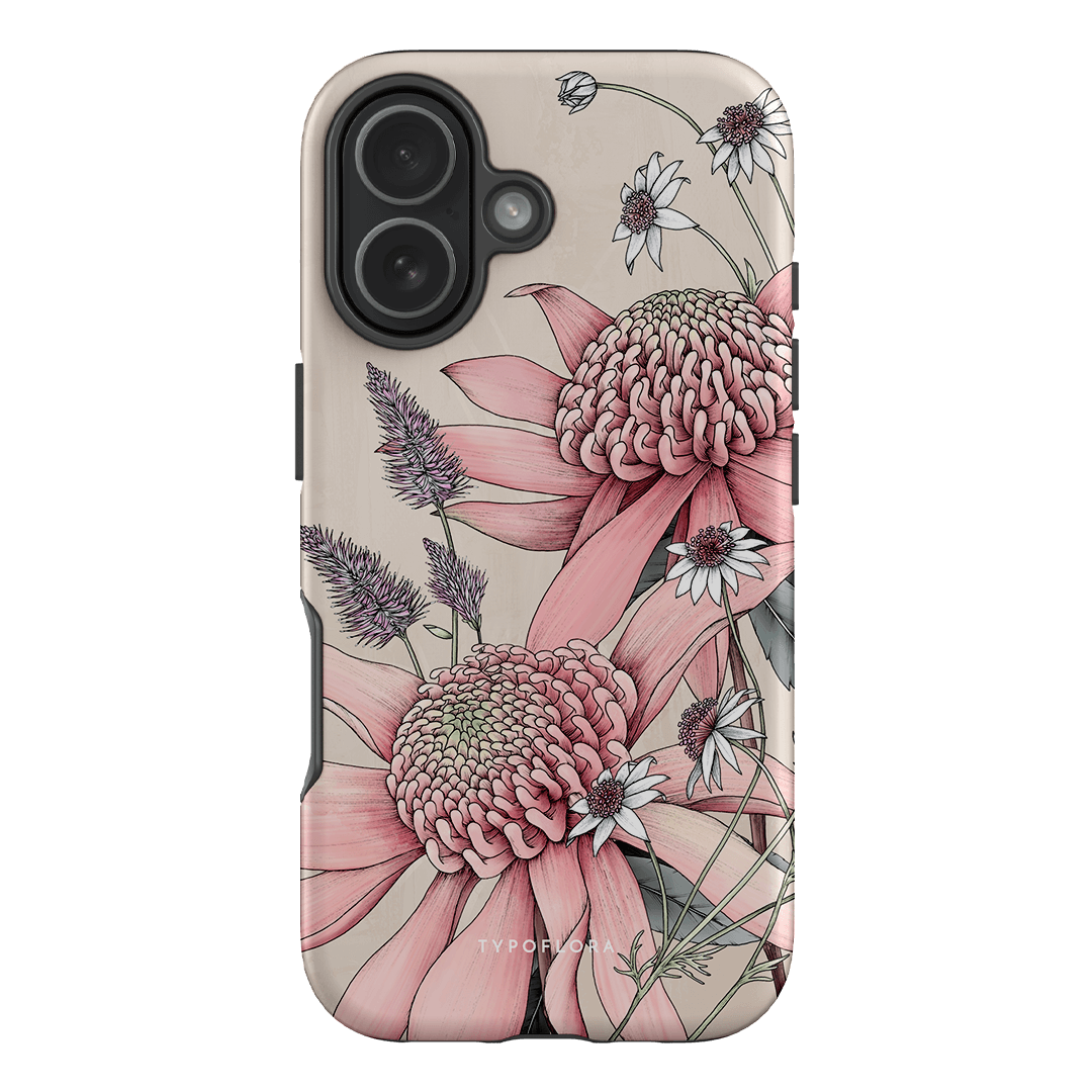 Pink Waratah
