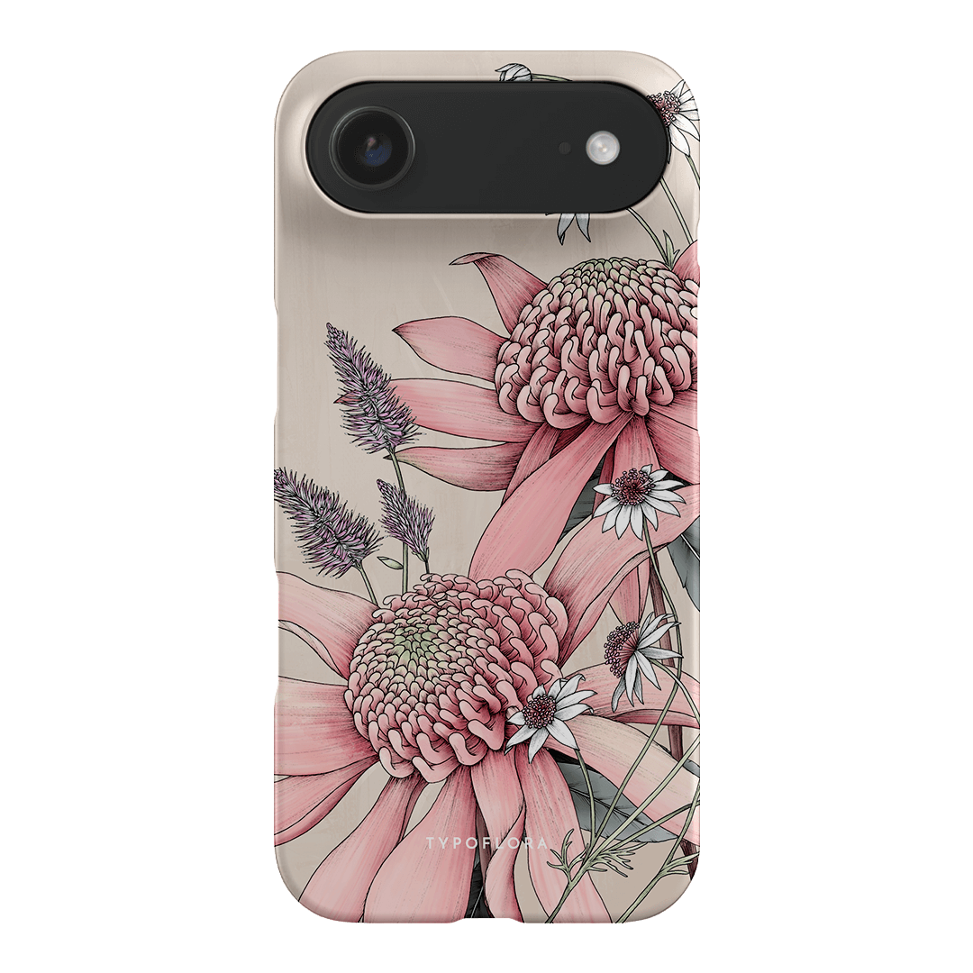 Pink Waratah