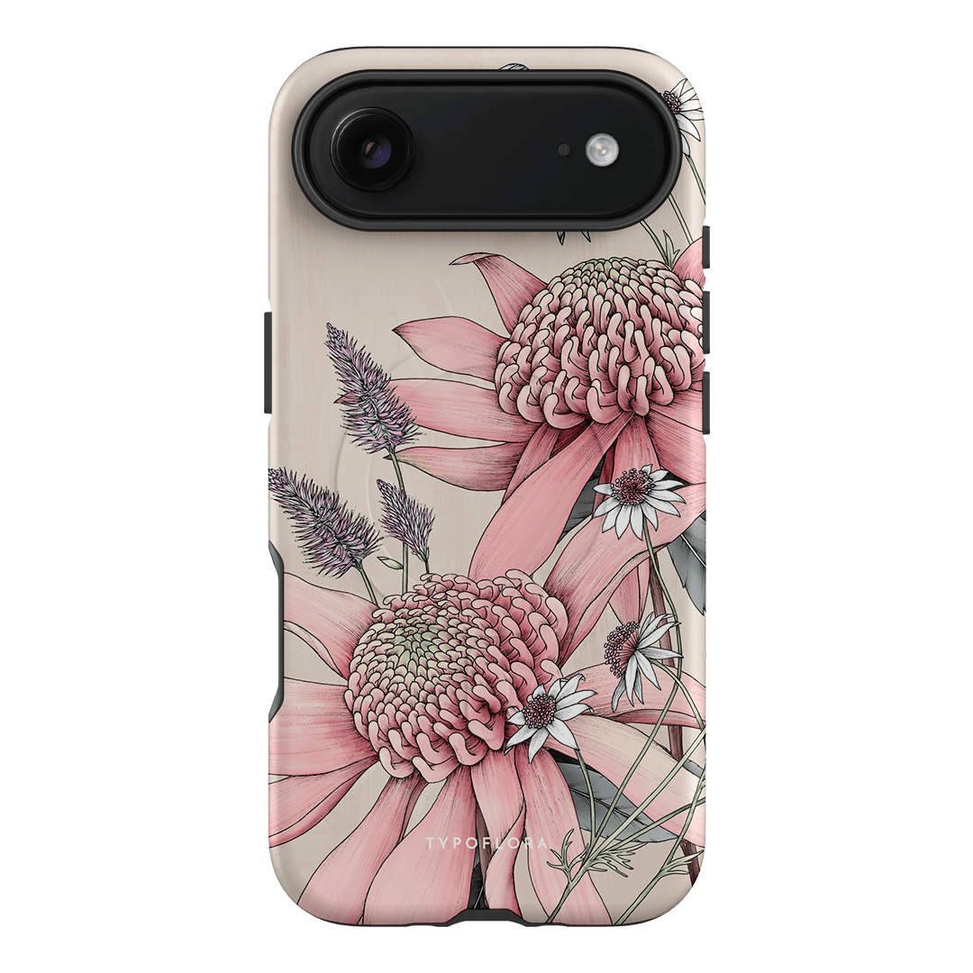 Pink Waratah