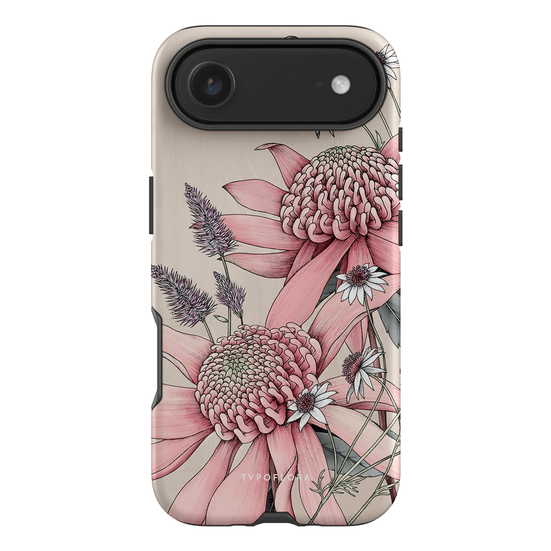 Pink Waratah