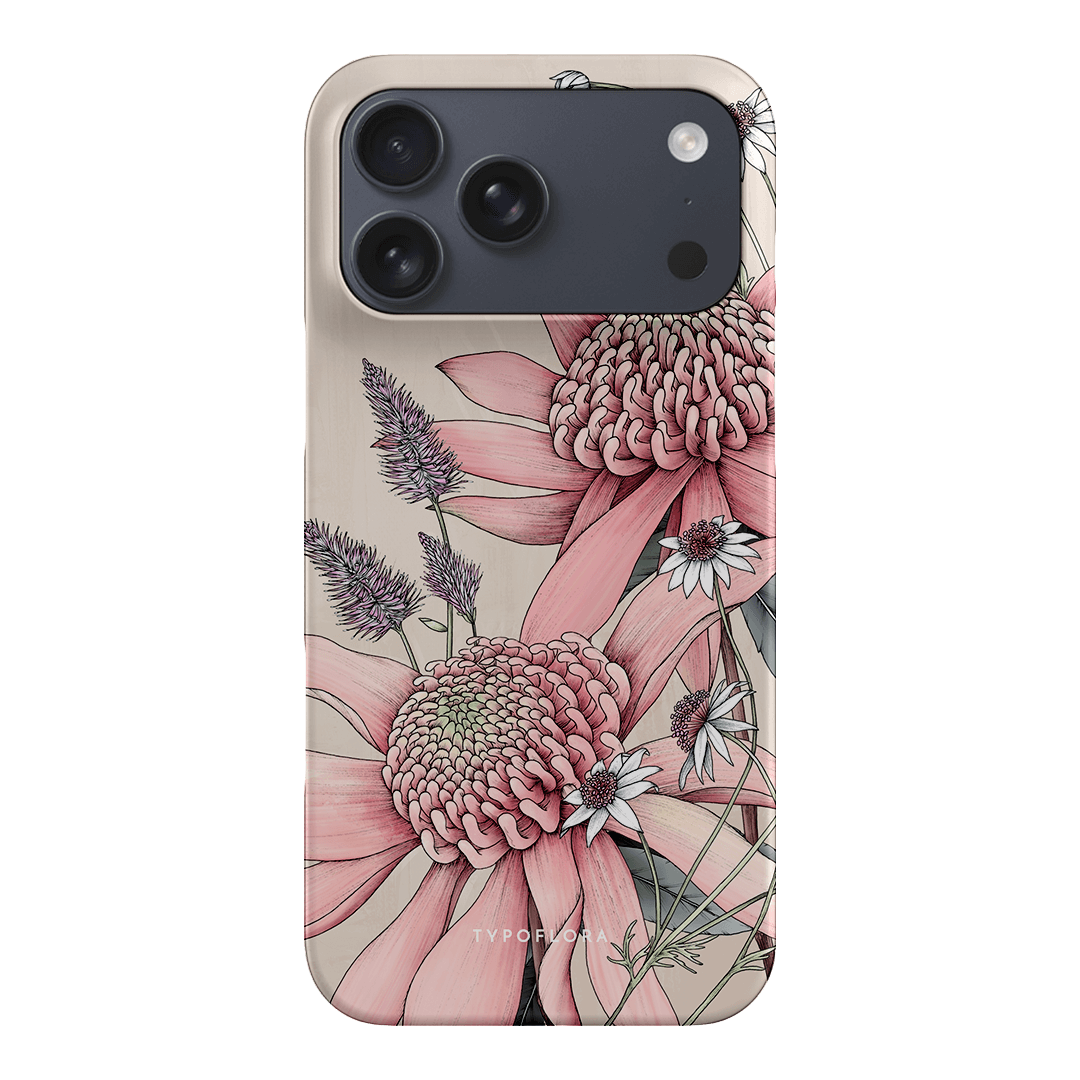 Pink Waratah