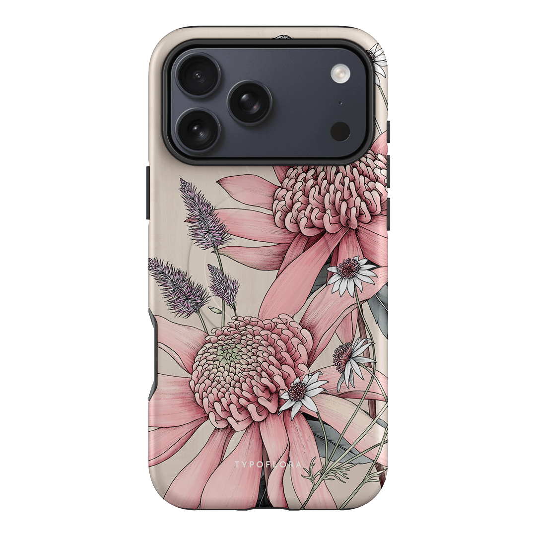 Pink Waratah