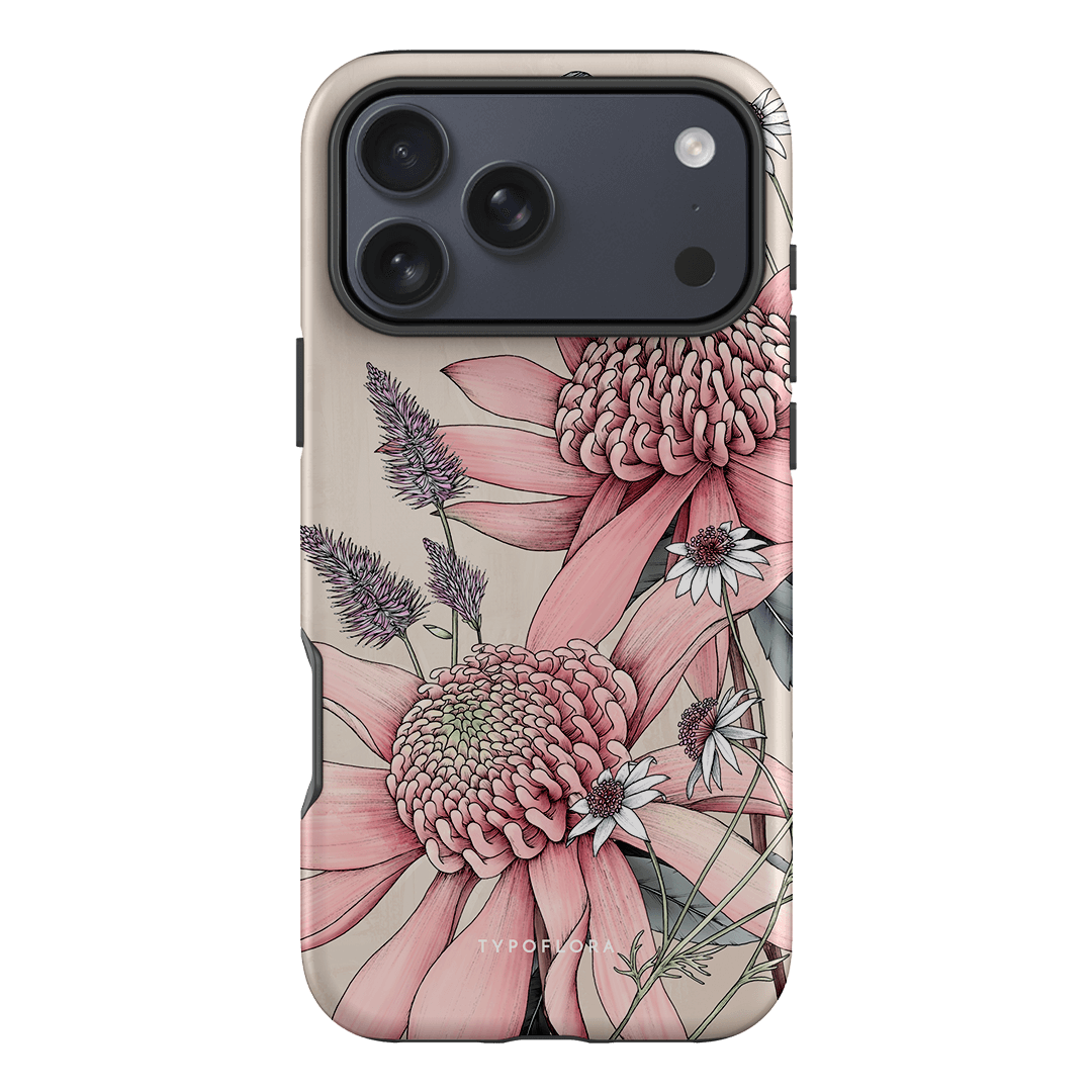 Pink Waratah