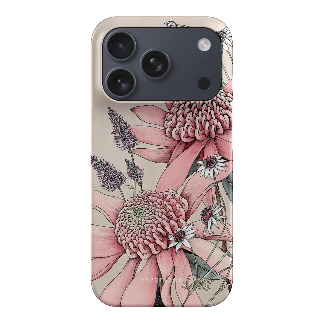 Pink Waratah