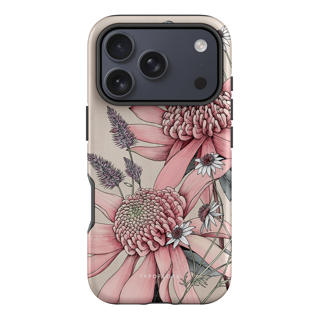 Pink Waratah
