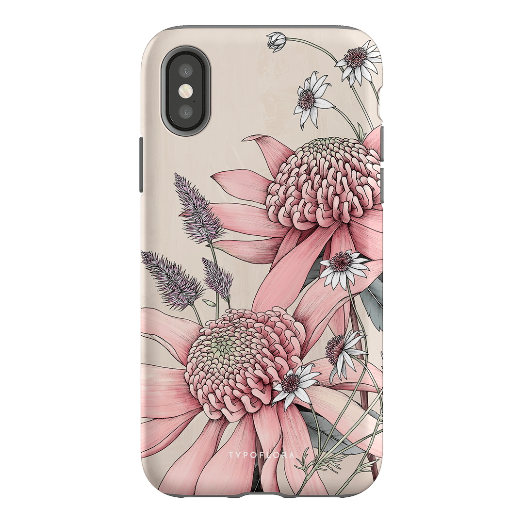 Pink Waratah