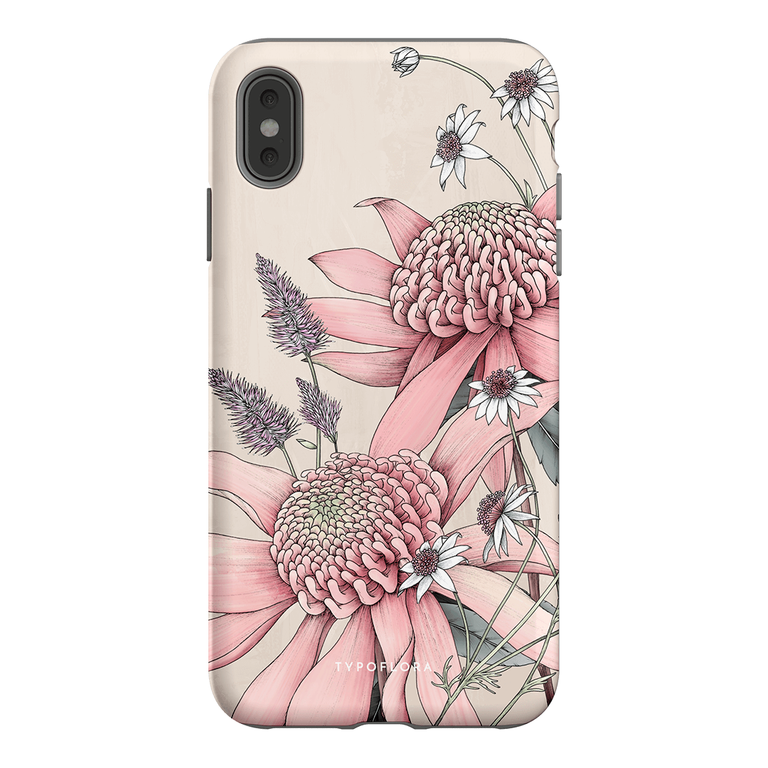 Pink Waratah