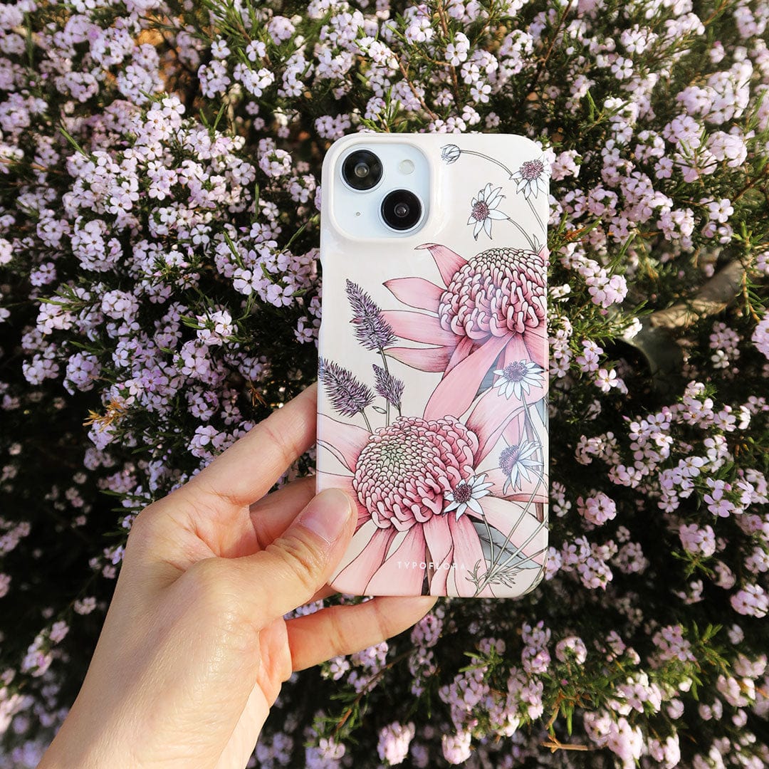 Pink Waratah