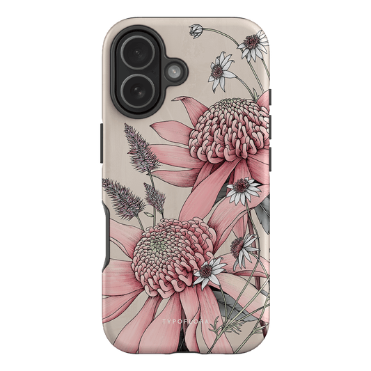 Pink Waratah